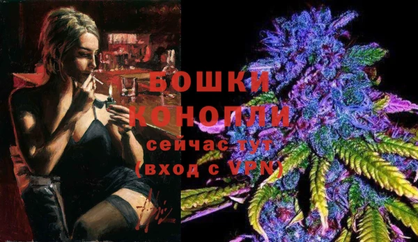 apvp Аркадак