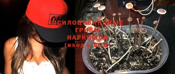 apvp Аркадак